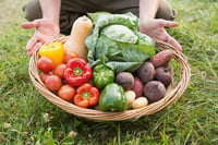 Farmer carrying basket of veg on a sunny day