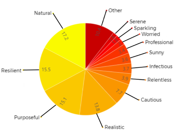 Pie chart - Type of Optimism